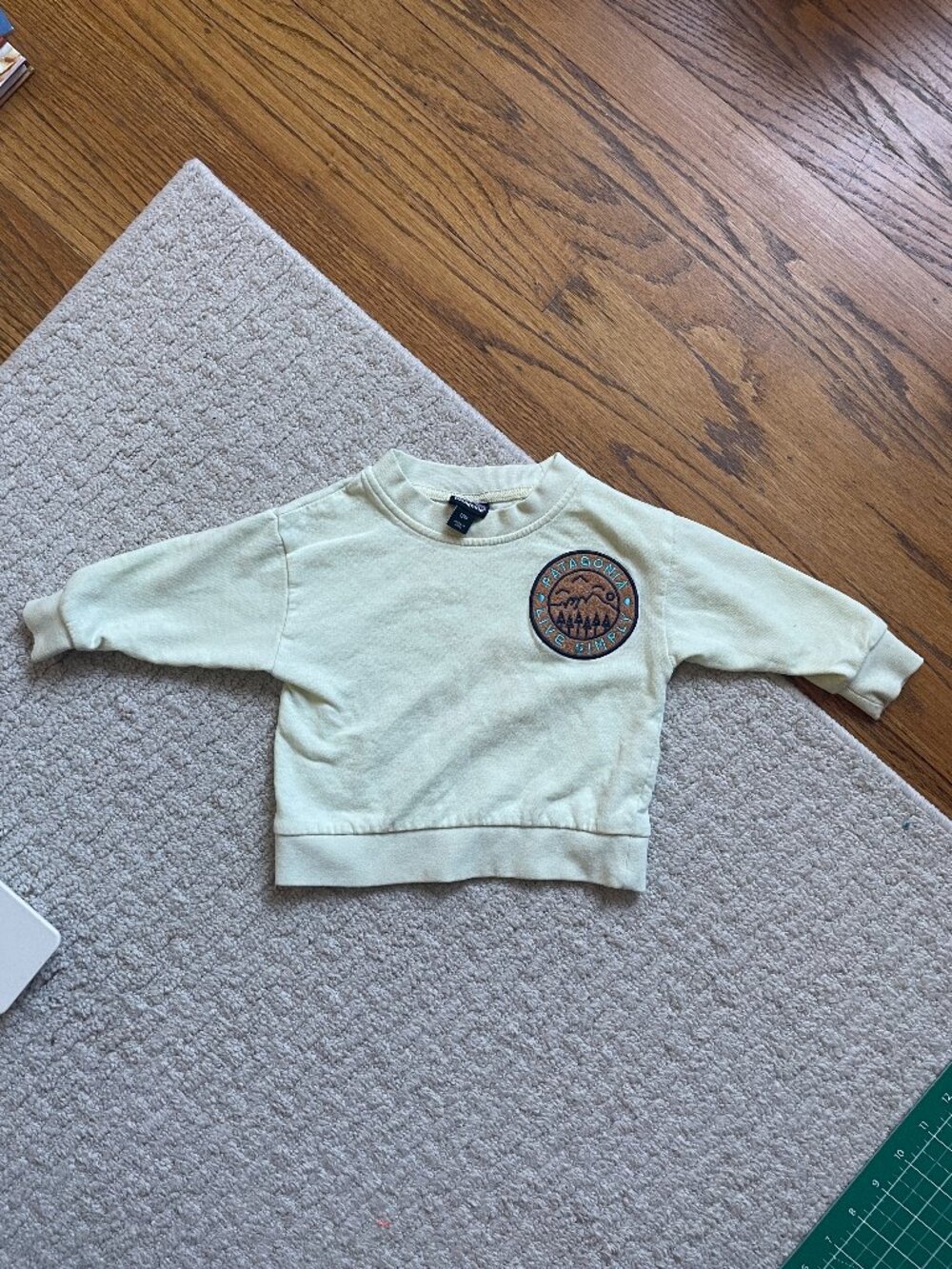 Patagonia baby Crewneck Sweatshirt 12m